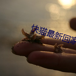 快貓最新回家地址