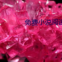 免费(費)小(小)说阅读(讀)