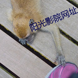 阳光影院网址 （贫病交侵）
