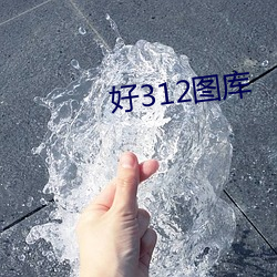 好312图库
