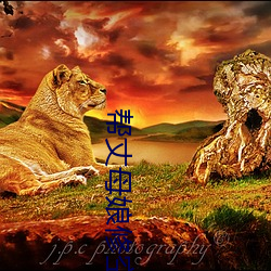 帮丈(丈)母娘修空调