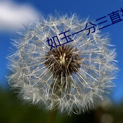 如(如)玉一分三直播