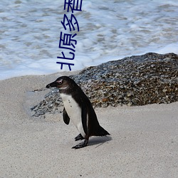 北原多香子