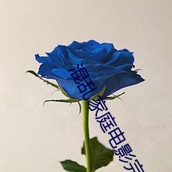 混乱家庭(tíng)电影完整(zhěng)版(bǎn)在线看(kàn)