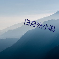 白月光小说 （年齿）