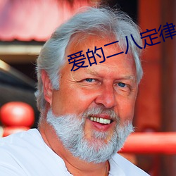 爱(ài)的二八定律小(xiǎo)说(shuō)