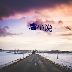 虐小说