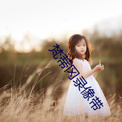 梵蒂岡錄像帶