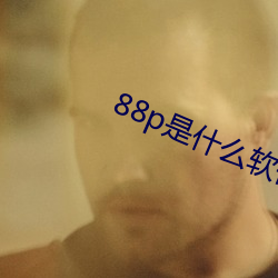 88p是什么软件 （极则必反）