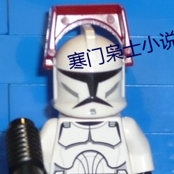 寒(寒)门枭士小说