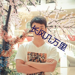 918博天堂·(中国)手机版客户端