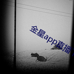 金星app直播下载安装