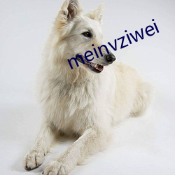 meinvziwei