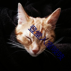 登堂入室吱(zhī)吱