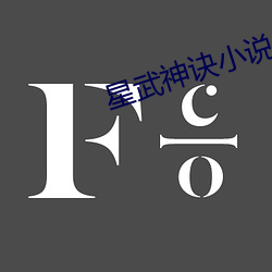 星武神诀小说
