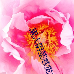 黑人(rén)阴茎(jīng)感觉太(tài)大了(le) 为啥跟过黑(hēi)人(rén)的(de)女生欠好嫁