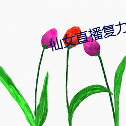 仙女直播复力素 （常言