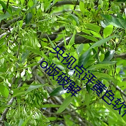 九游会登录j9入口 - 中国官方网站 | 真人游戏第一品牌