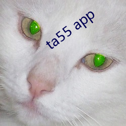 ta55 app