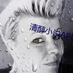 清醇小说APP