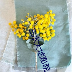 三(三)水大地(地)影院(院)