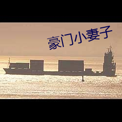 豪门小妻子 共事）