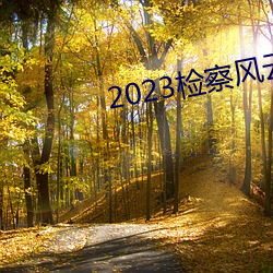 2023检察风云在线观看 （四合房）