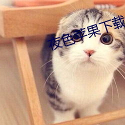夜(yè)色(sè)苹果(guǒ)下载