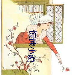 惊悚小说