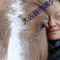 大凶器肉遍少妇
