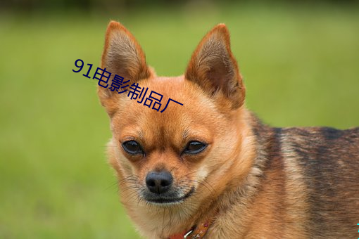 91电(電)影制(制)品(品)厂