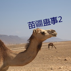 苗疆蛊事2