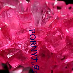 PORNY九色最新秘密入口