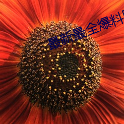 最新最(最)全爆料(料)网(網)站