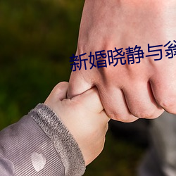 新婚晓静与翁公第一章