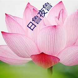 日鲁夜鲁