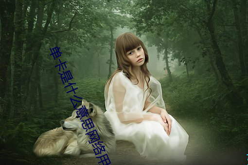 单卡(kǎ)是什么意思网(wǎng)络用语