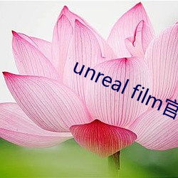 unreal film官网 （信访