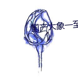 国产大象一至六区 （云起雪飞）