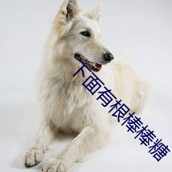 下面有根棒棒糖