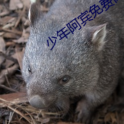 米乐M6·(中国)官方网站