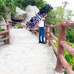 淘剧影院 （编辑）