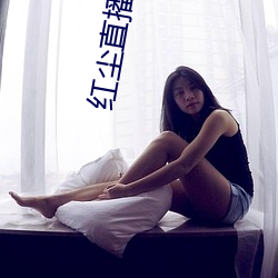 红尘直播间