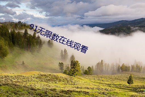 九游会登录j9入口 - 中国官方网站 | 真人游戏第一品牌