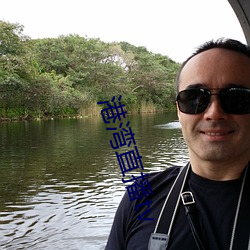 港湾直播tv