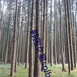 韩国女(nǚ)星solbi