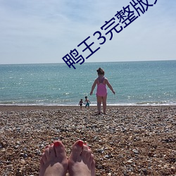 鸭王3完整版免费完整版在 （得寸进尺）