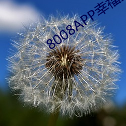 8008APP幸福寶