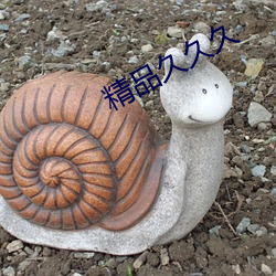 精品久久久