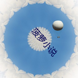 菠萝小说